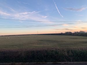 Photo 2- click for photo gallery